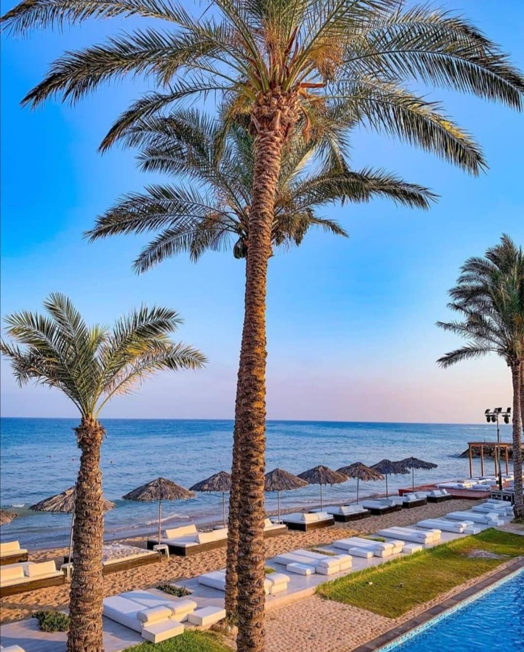فندق جنة سورمير ضمور المظهر الخارجي الصورة